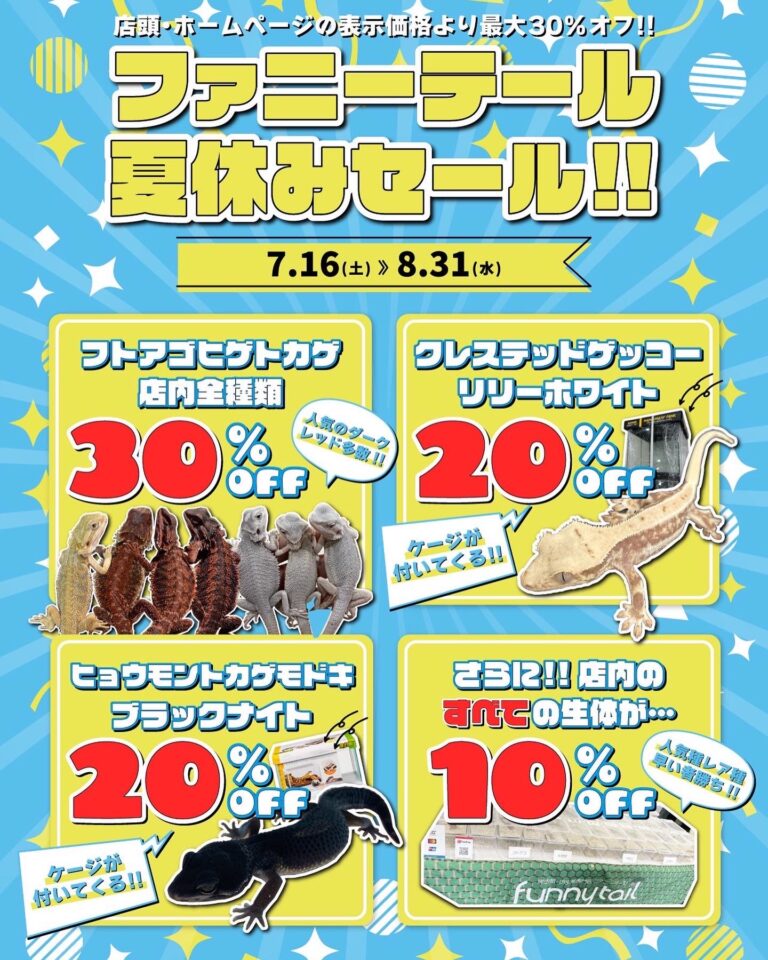 夏休みセール