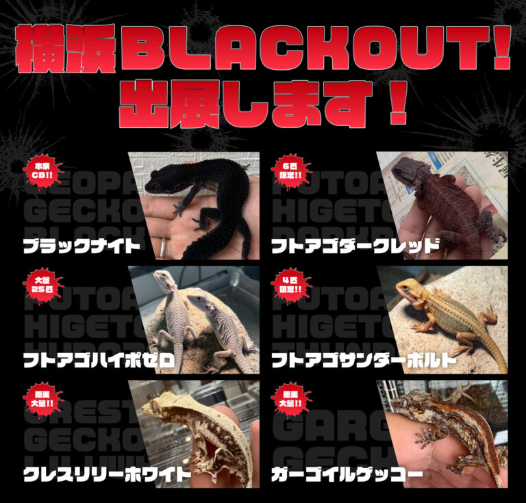 横浜ブラックアウト