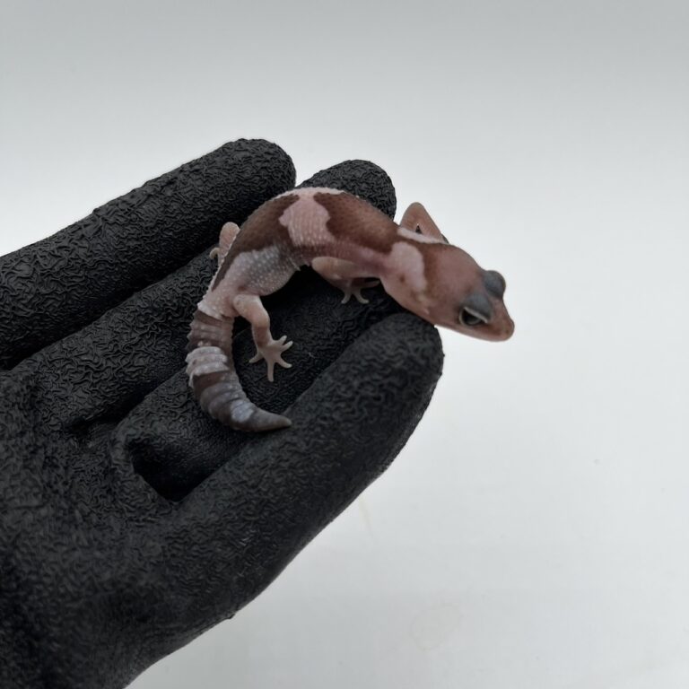 オレオズールー